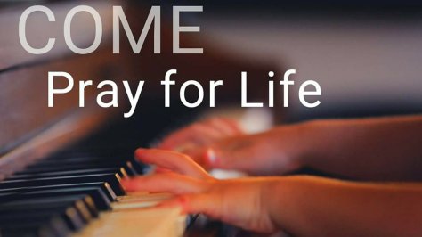 19417559_1387268134690072_5736672213556154655_o