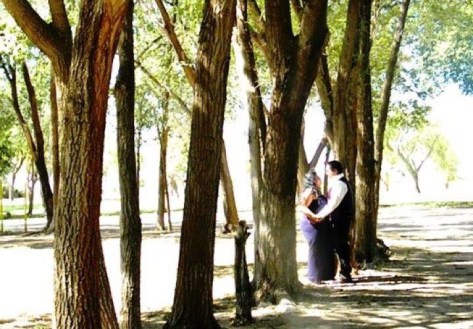 429042_348390501846798_293917538_n (2)